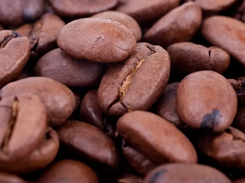 Ziarno kakaowca - indiański symbol życia i płodności