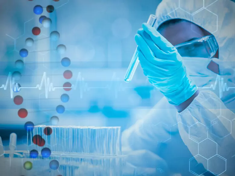 Kobiece endometrium a dojrzałe komórki macierzyste? Przełom w medycynie