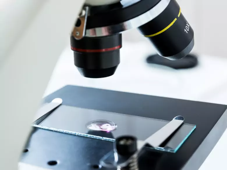 Programy profilaktyczne NFZ - kto może skorzystać i jakie badania obejmują?