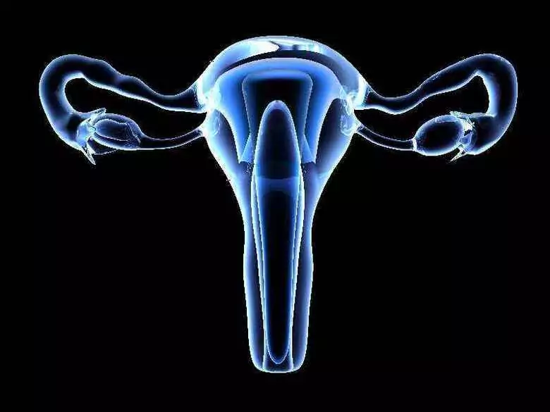 Trzy czwarte kobiet nie zna budowy pochwy