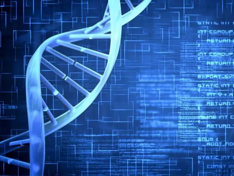 Brak zwiększonej ilości uszkodzeń DNA nasienia i nasieniowego stresu oksydacyjnego u pacjentów z niepłodnością samoistną.