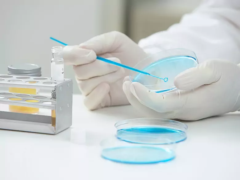 Rozkład zakażeń różnego typu wirusami brodawczaka ludzkiego (HPV) w przypadkach inwazyjnego raka szyjki macicy i zaawansowanych zmian w obrębie szyjki macicy: najnowsze dane.