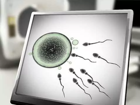 Ewolucja i rozwój człowieka w kontekście menopauzy i śródmacicznej selekcji zarodków